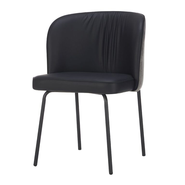 upholstered dining chair with two tone backrest